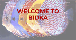 Desktop Screenshot of bidka.org